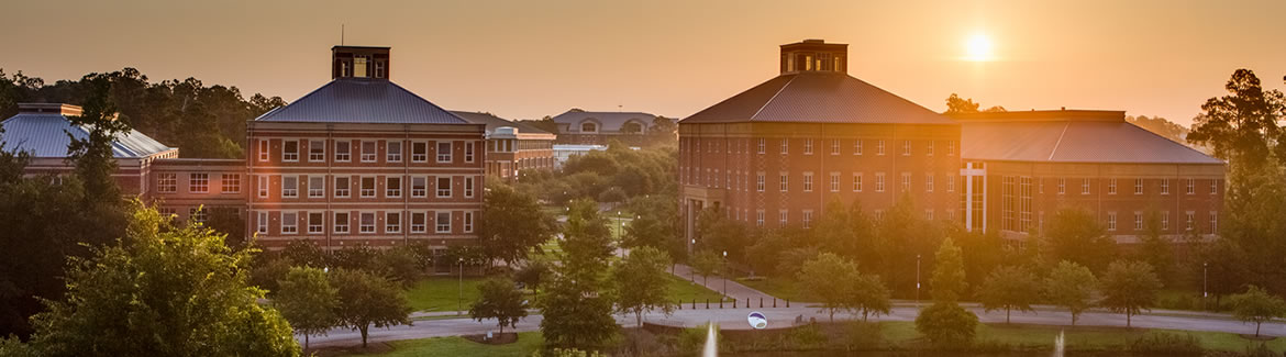 Georgia State University Campus